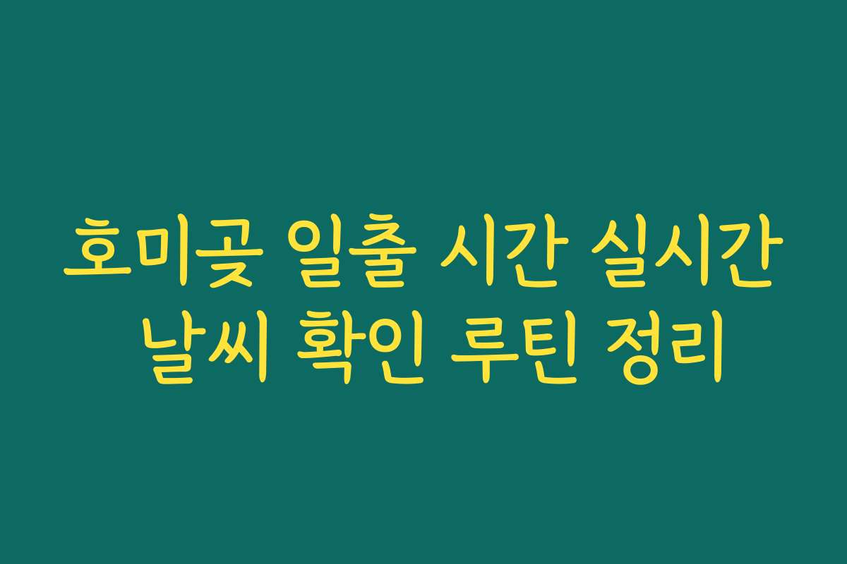 호미곶 일출 시간 실시간 날씨 확인 루틴 정리