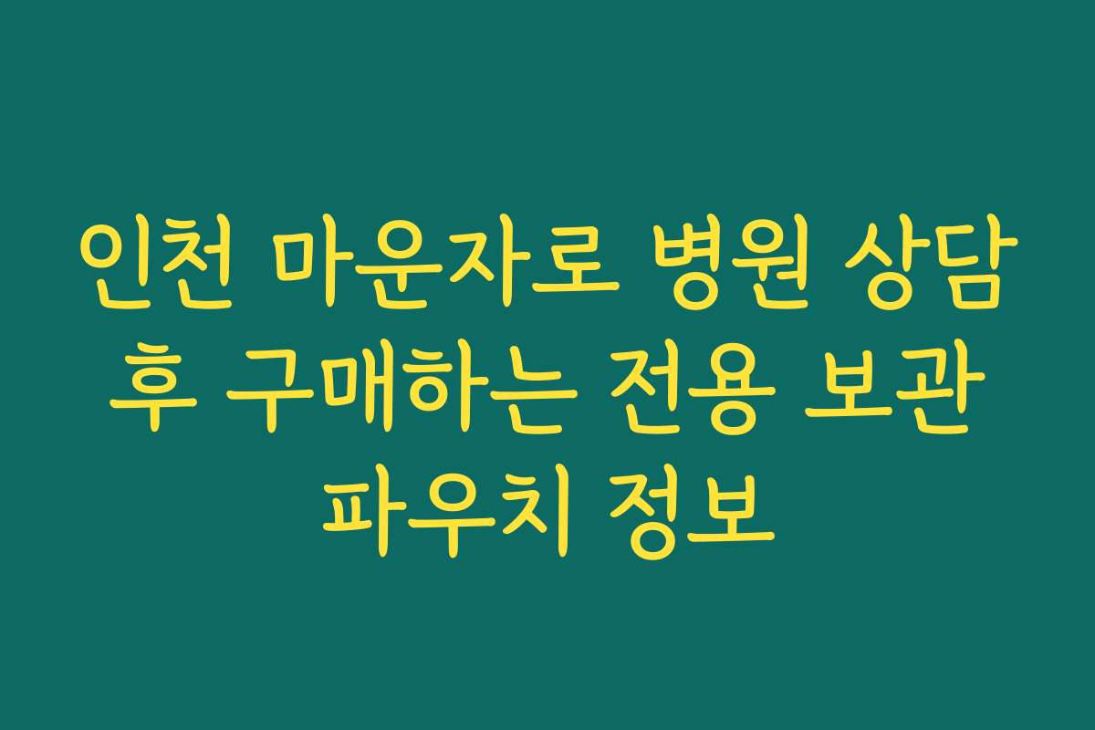 인천 마운자로 병원 상담 후 구매하는 전용 보관 파우치 정보