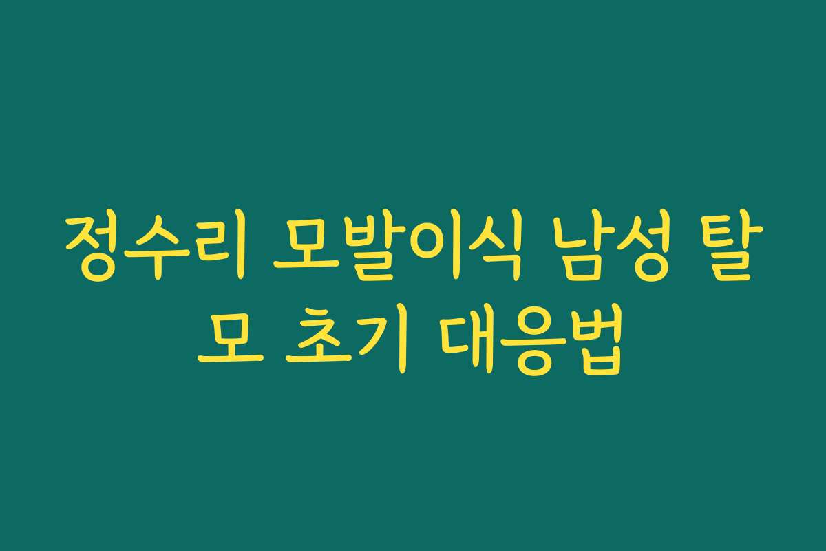 정수리 모발이식 남성 탈모 초기 대응법
