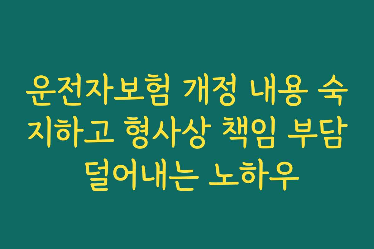 운전자보험 개정 내용 숙지하고 형사상 책임 부담 덜어내는 노하우