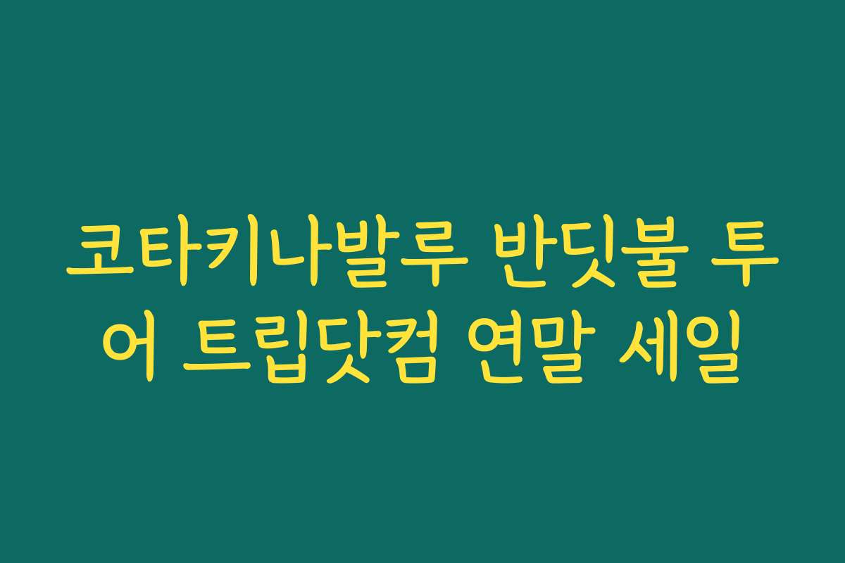 코타키나발루 반딧불 투어 트립닷컴 연말 세일