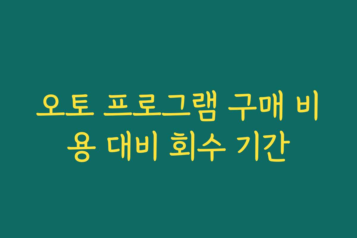 오토 프로그램 구매 비용 대비 회수 기간