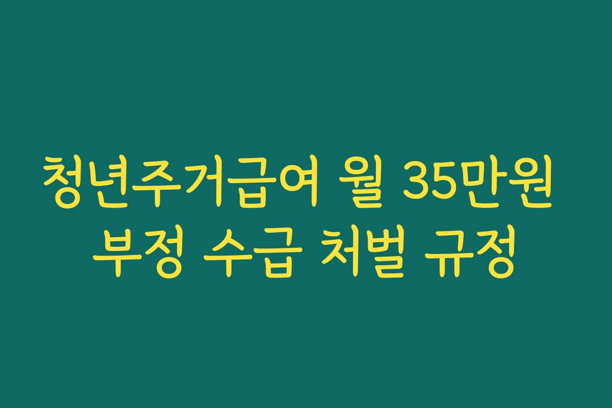 청년주거급여 월 35만원 부정 수급 처벌 규정 청년주거급여 월 35만원 부정 수급 처벌 규정