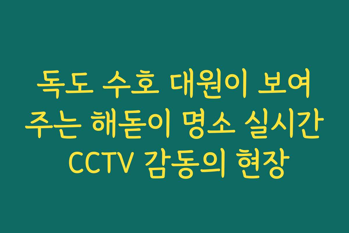 독도 수호 대원이 보여주는 해돋이 명소 실시간 CCTV 감동의 현장