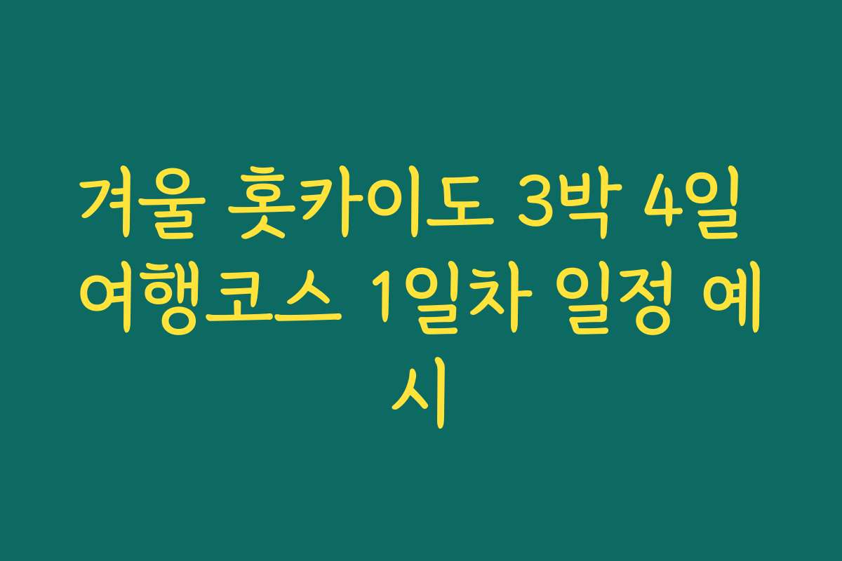 겨울 홋카이도 3박 4일 여행코스 1일차 일정 예시