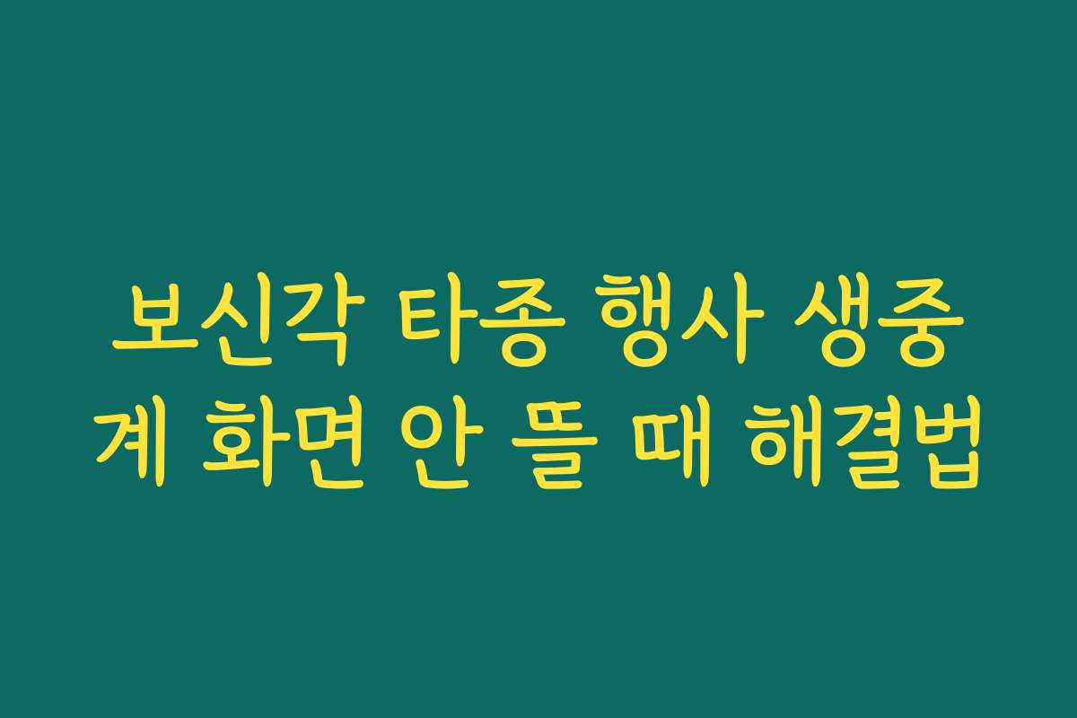 보신각 타종 행사 생중계 화면 안 뜰 때 해결법