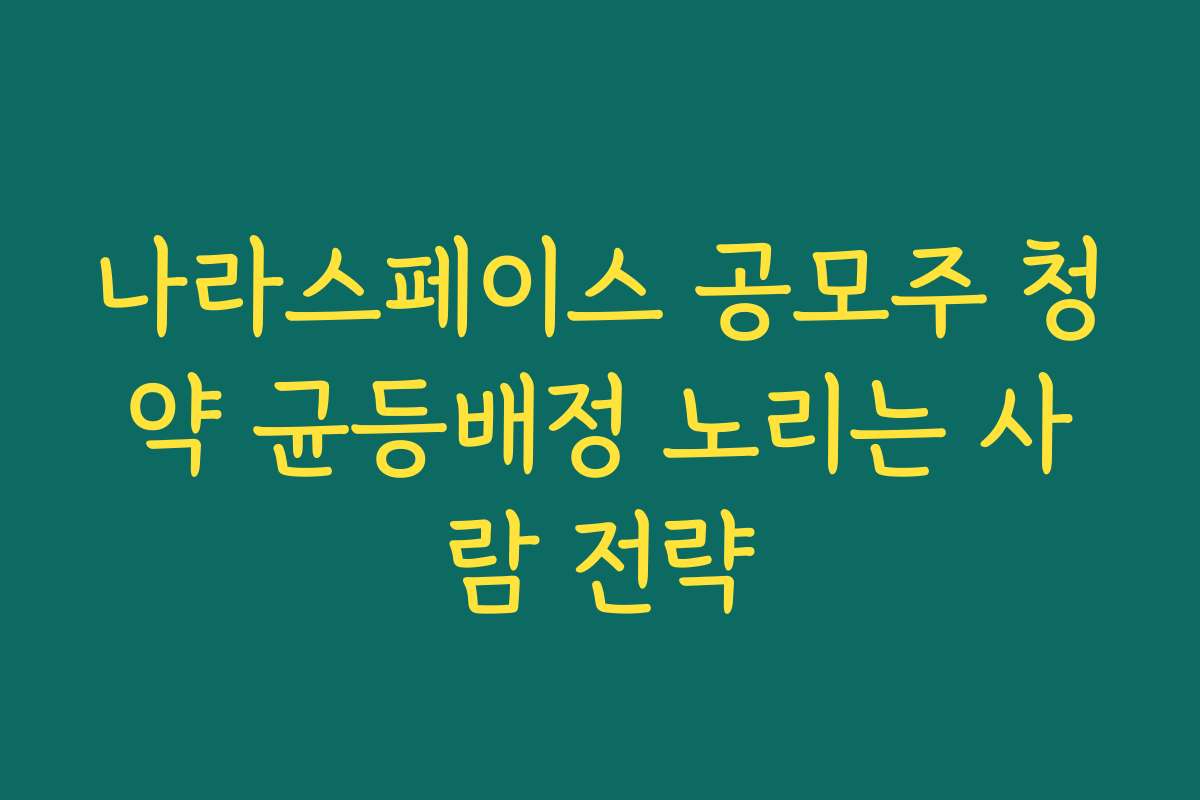 나라스페이스 공모주 청약 균등배정 노리는 사람 전략