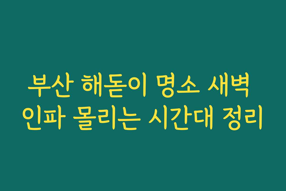 부산 해돋이 명소 새벽 인파 몰리는 시간대 정리