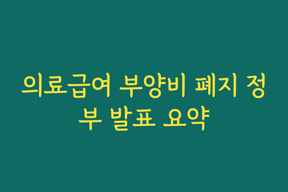 의료급여 부양비 폐지 정부 발표 요약