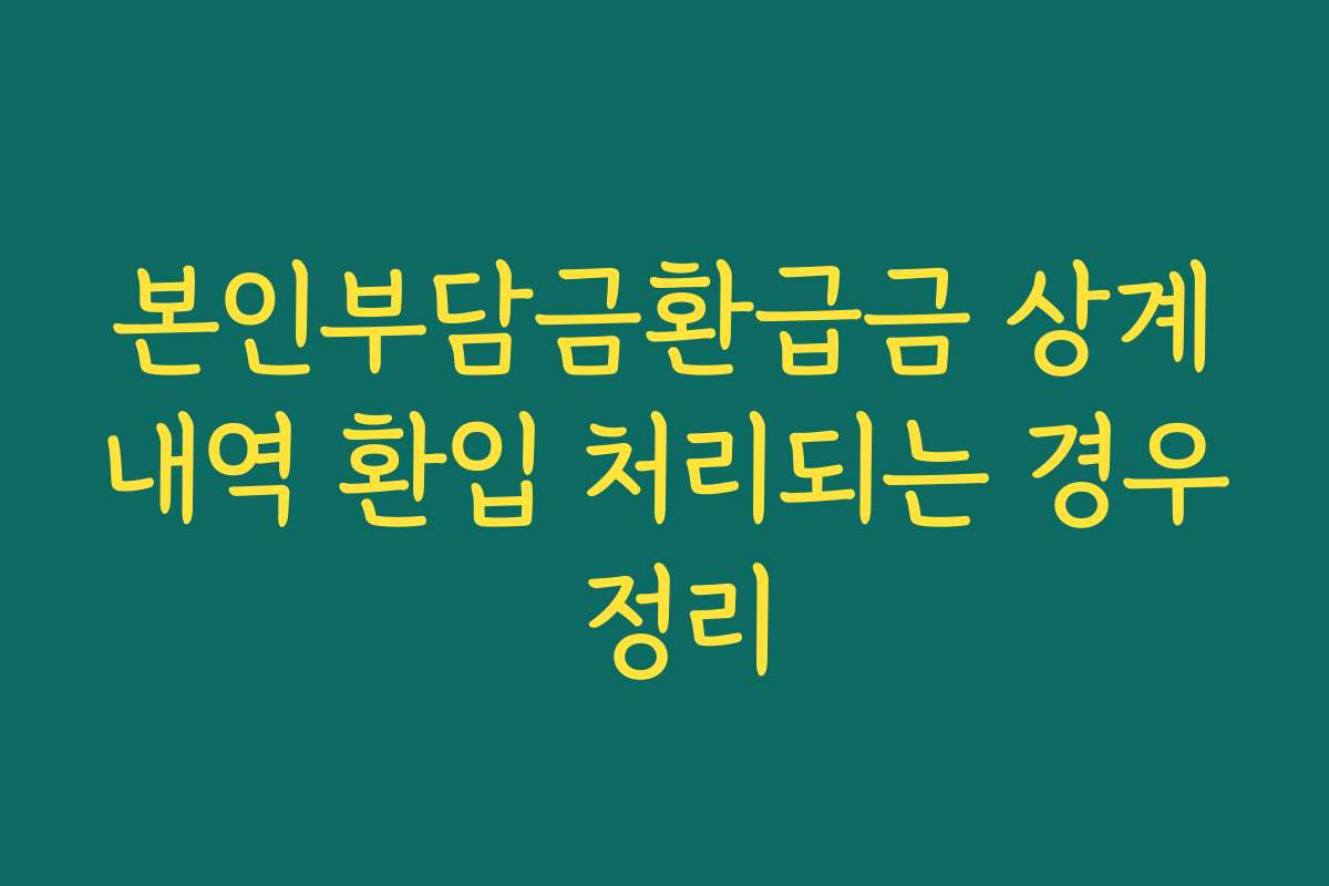 본인부담금환급금 상계내역 환입 처리되는 경우 정리
