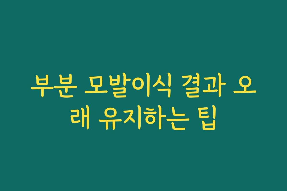 부분 모발이식 결과 오래 유지하는 팁