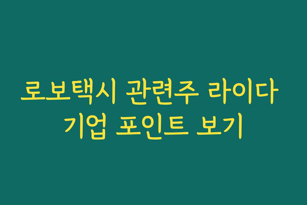 로보택시 관련주 라이다 기업 포인트 보기