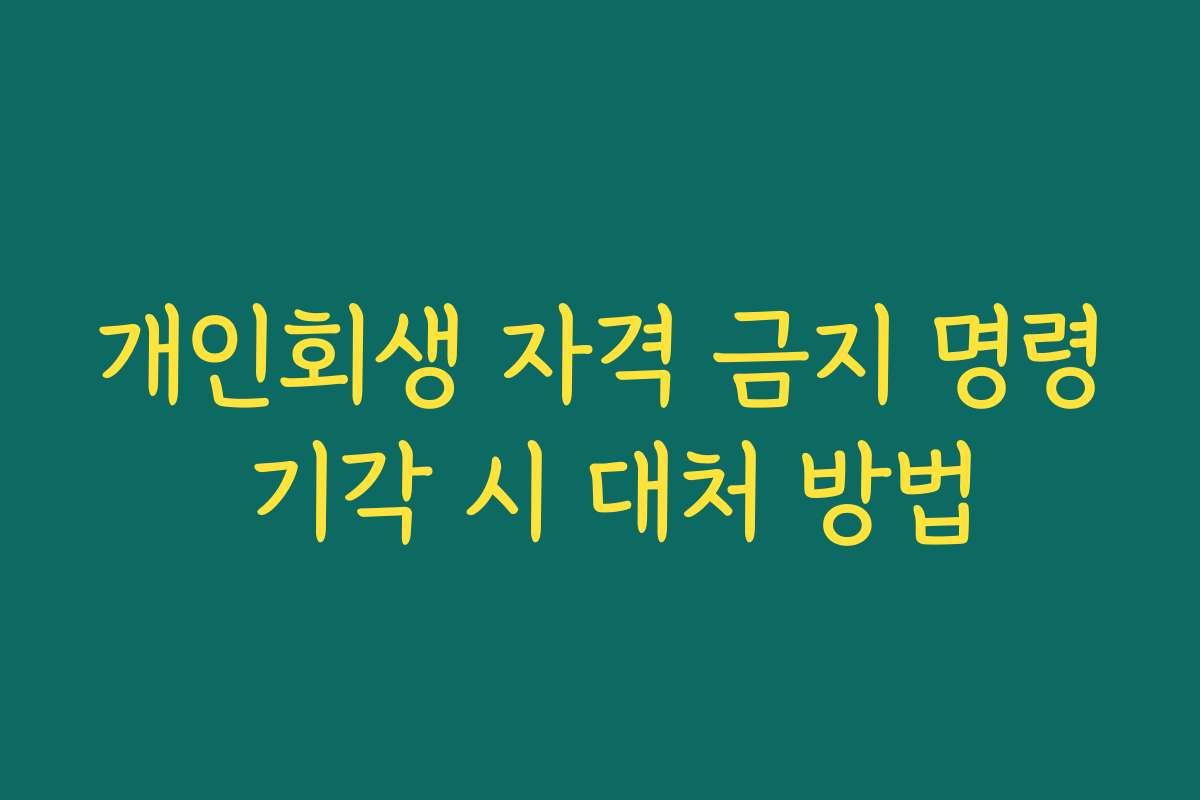 개인회생 자격 금지 명령 기각 시 대처 방법