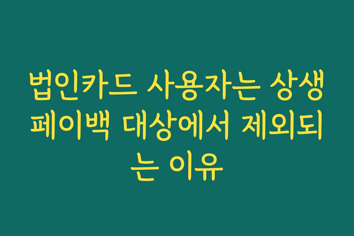 법인카드 사용자는 상생페이백 대상에서 제외되는 이유