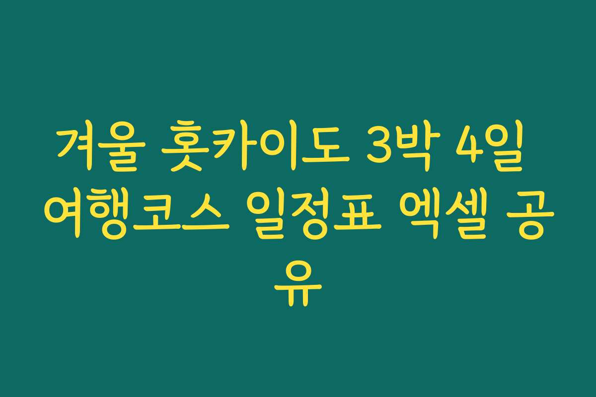겨울 홋카이도 3박 4일 여행코스 일정표 엑셀 공유