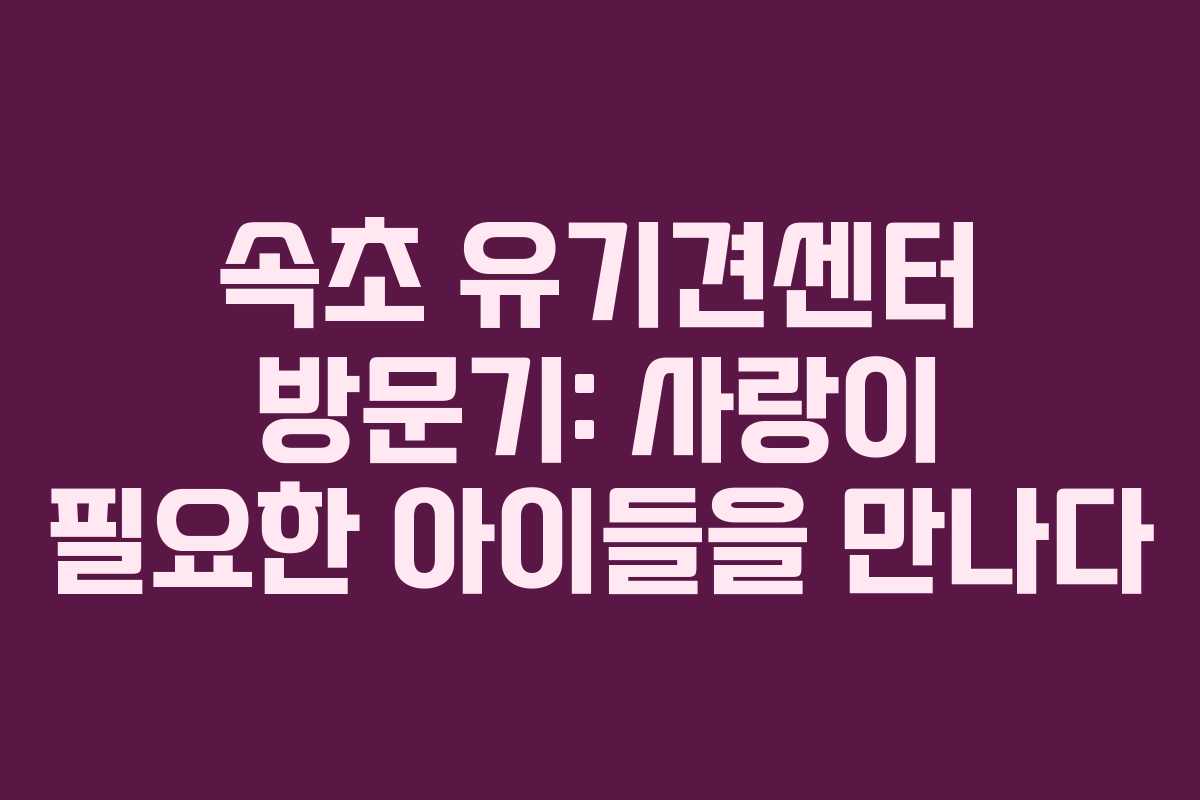 속초 유기견센터 방문기: 사랑이 필요한 아이들을 만나다