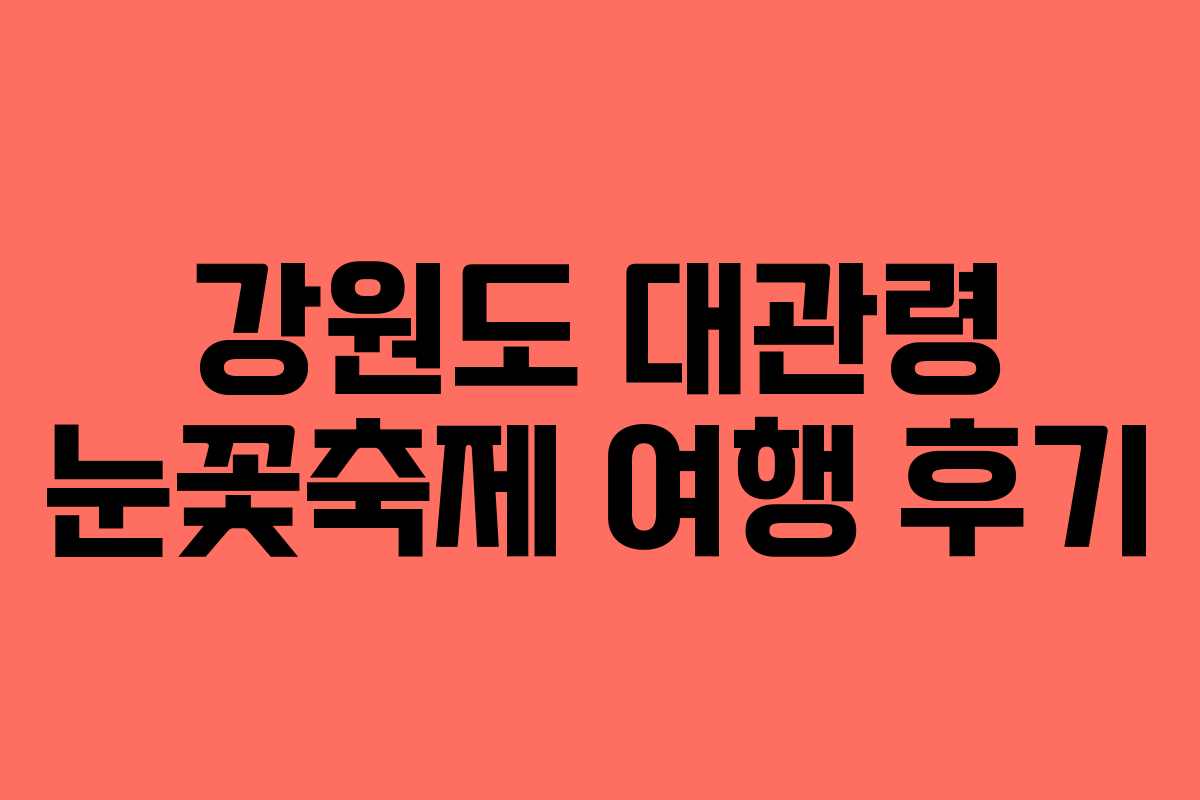 강원도 대관령 눈꽃축제 여행 후기