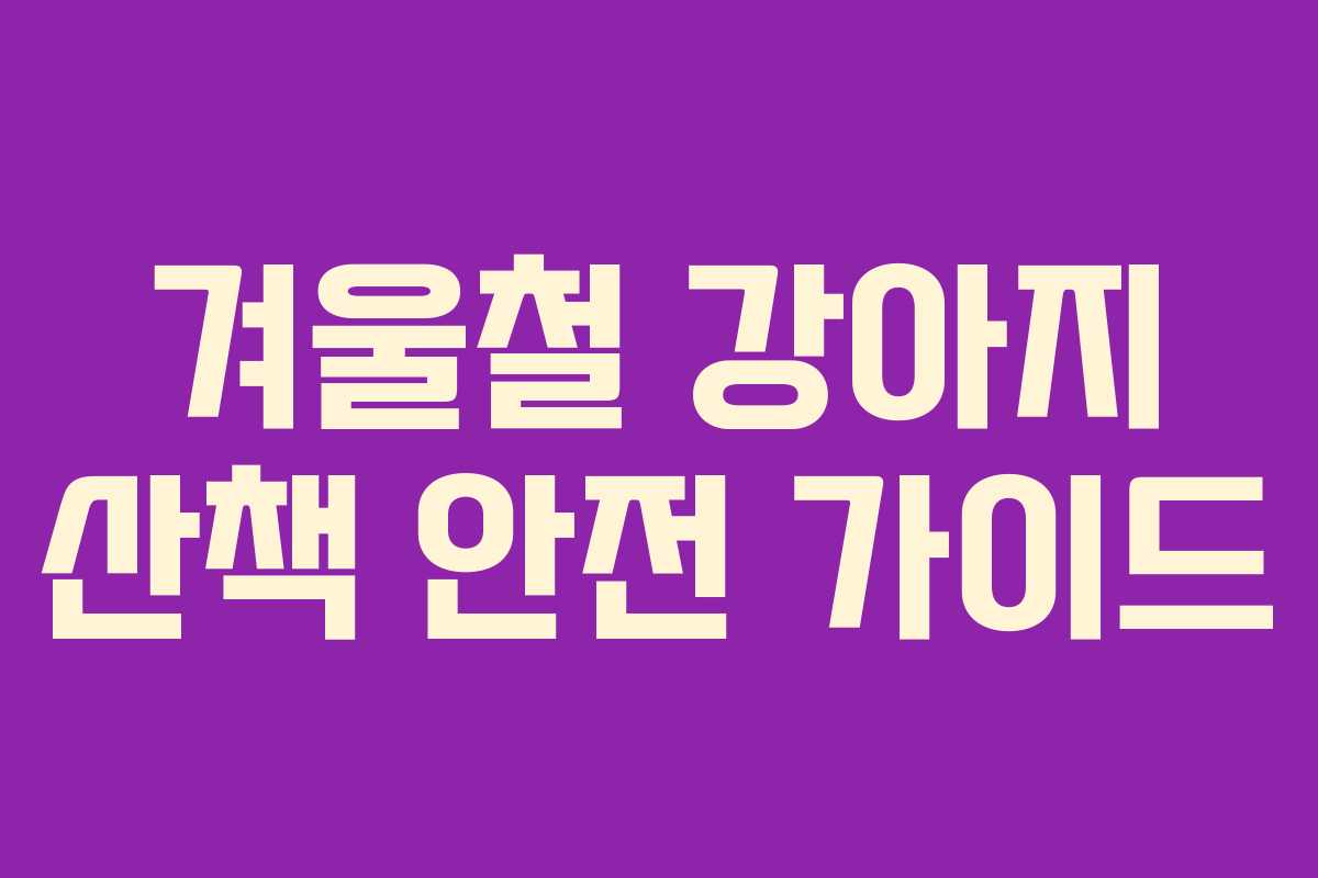 겨울철 강아지 산책 안전 가이드