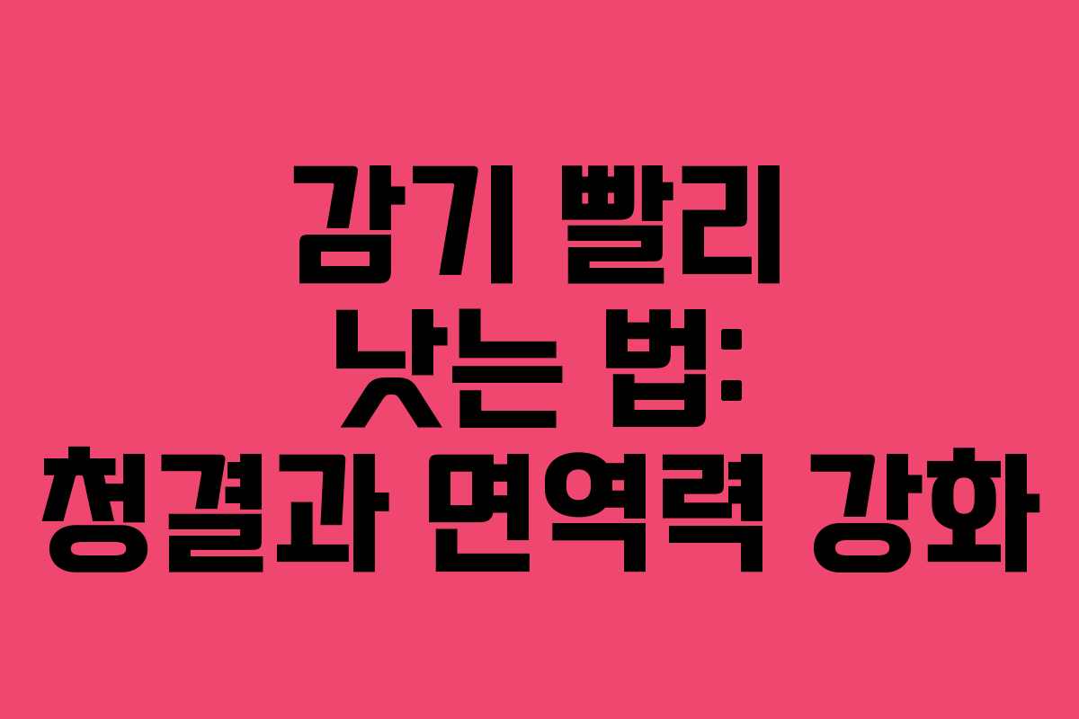 감기 빨리 낫는 법: 청결과 면역력 강화