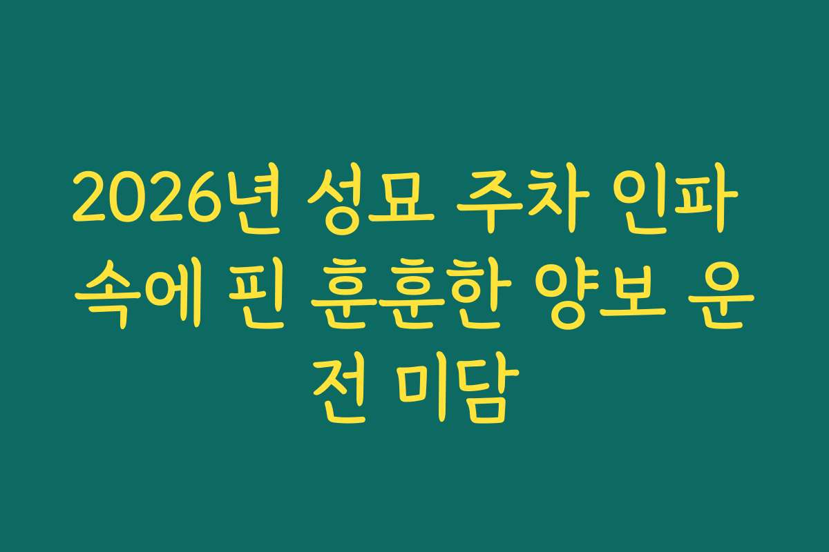 2026년 성묘 주차 인파 속에 핀 훈훈한 양보 운전 미담