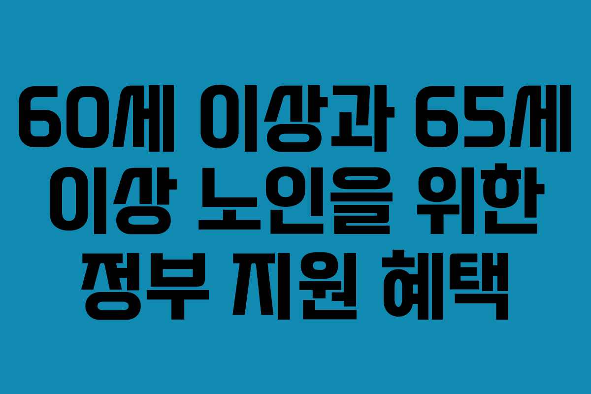 60세 이상과 65세 이상 노인을 위한 정부 지원 혜택