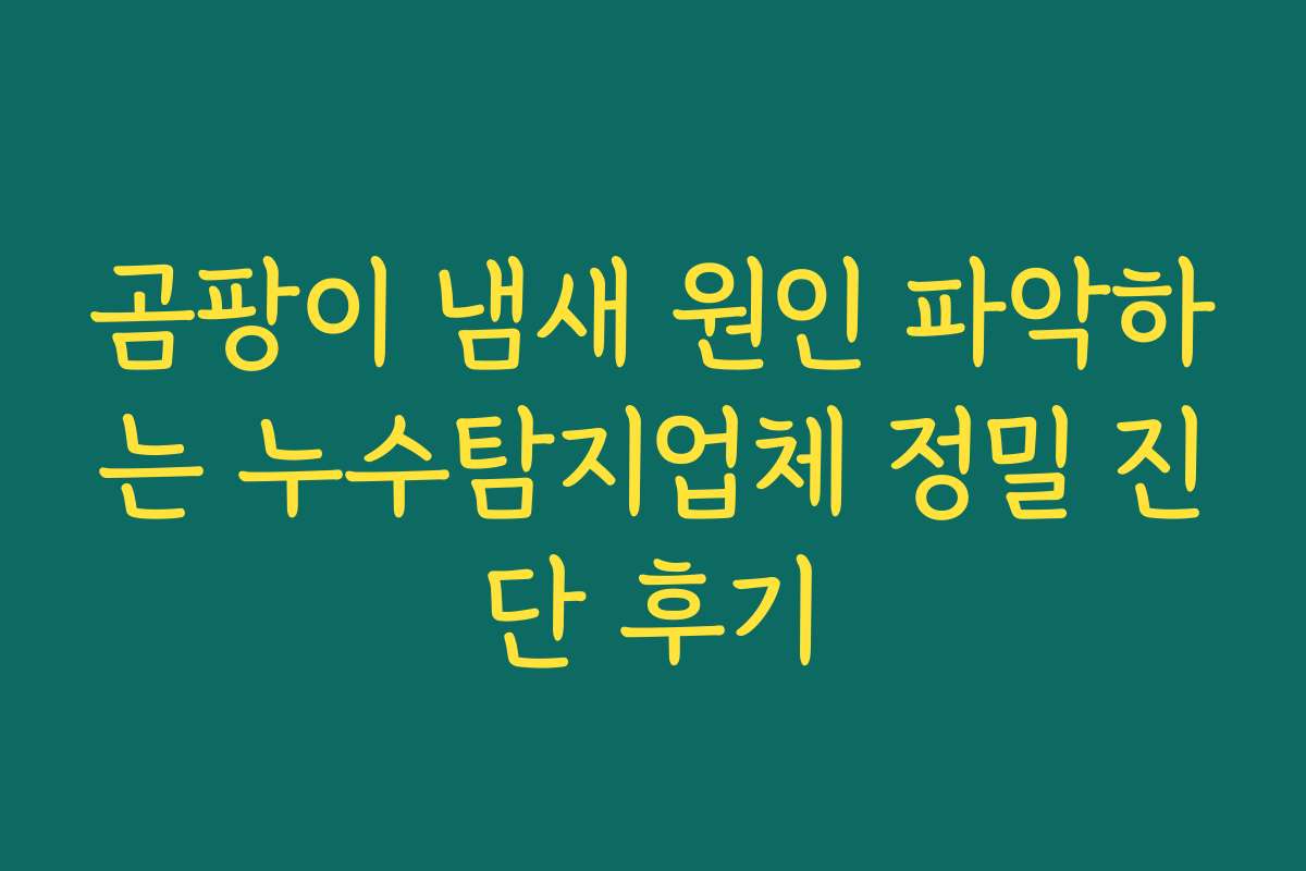 곰팡이 냄새 원인 파악하는 누수탐지업체 정밀 진단 후기