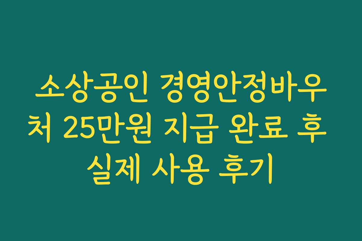 소상공인 경영안정바우처 25만원 지급 완료 후 실제 사용 후기