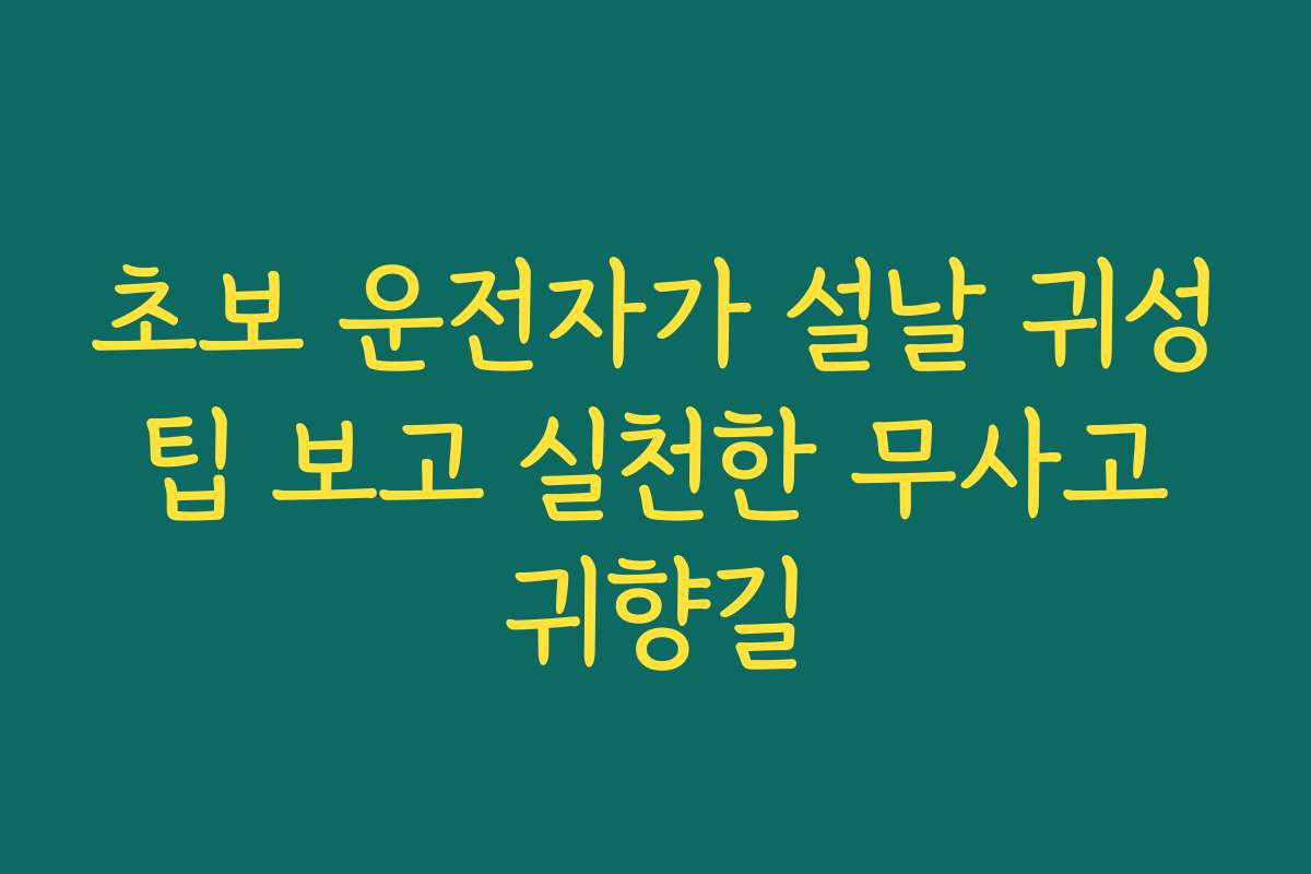 초보 운전자가 설날 귀성 팁 보고 실천한 무사고 귀향길
