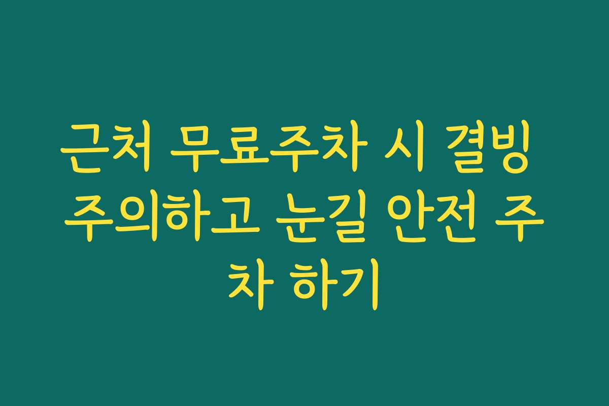 근처 무료주차 시 결빙 주의하고 눈길 안전 주차 하기