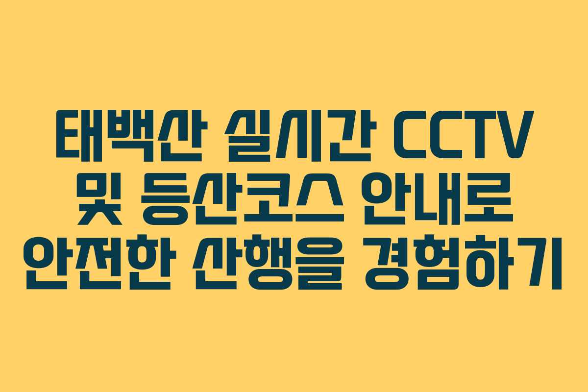 태백산 실시간 CCTV 및 등산코스 안내로 안전한 산행을 경험하기
