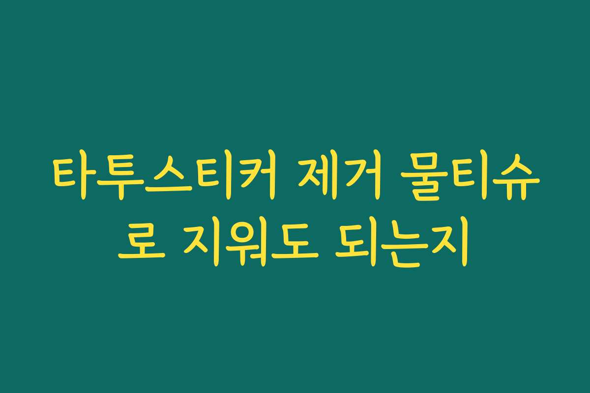 타투스티커 제거 물티슈로 지워도 되는지