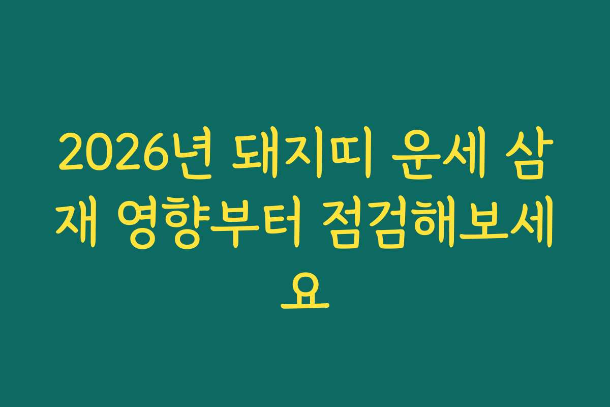 2026년 돼지띠 운세 삼재 영향부터 점검해보세요