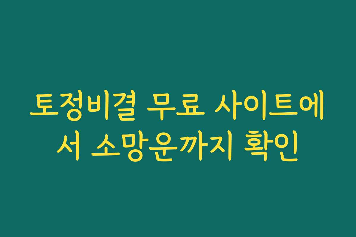 토정비결 무료 사이트에서 소망운까지 확인