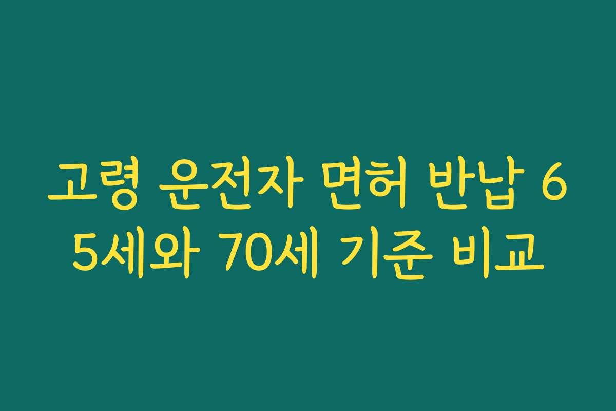 고령 운전자 면허 반납 65세와 70세 기준 비교