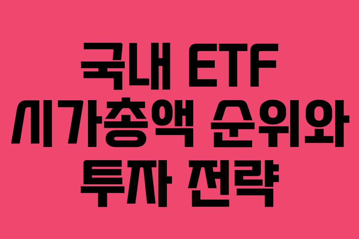 국내 ETF 시가총액 순위와 투자 전략