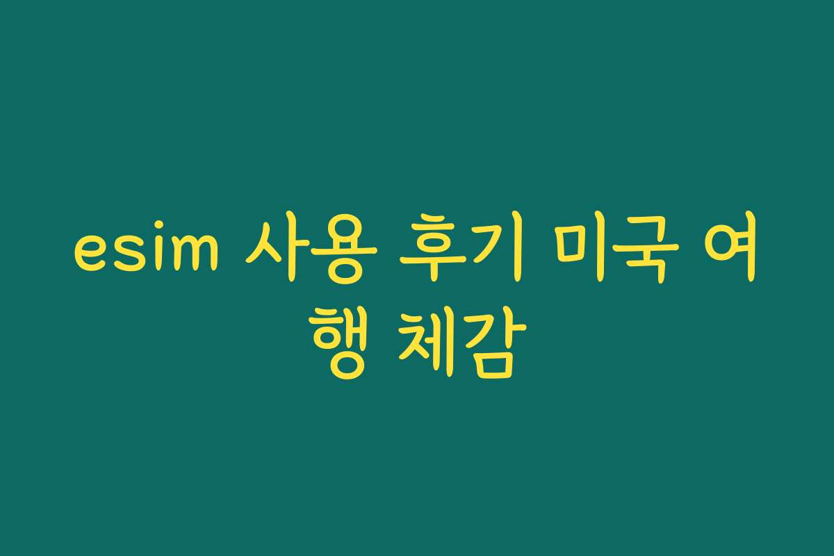 esim 사용 후기 미국 여행 체감