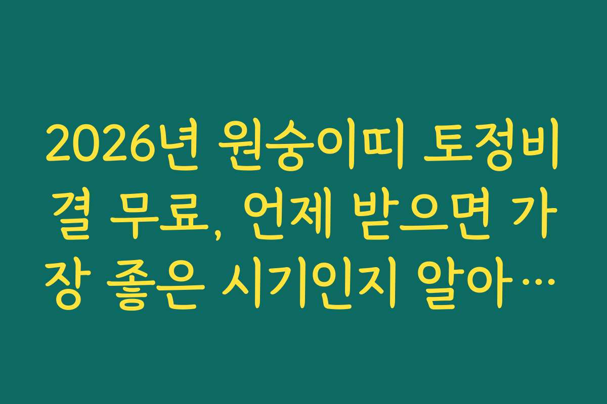 2026년 원숭이띠 토정비결 무료, 언제 받으면 가장 좋은 시기인지 알아보기