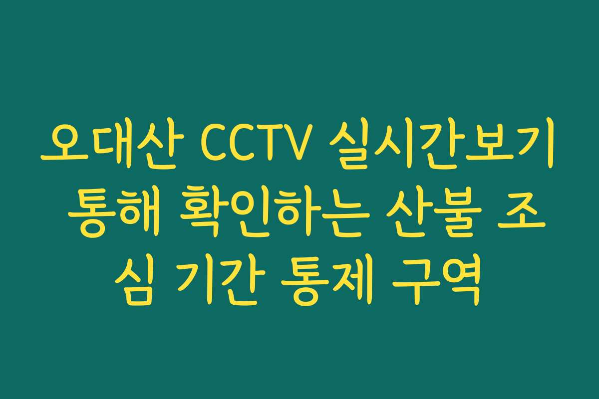 오대산 CCTV 실시간보기 통해 확인하는 산불 조심 기간 통제 구역