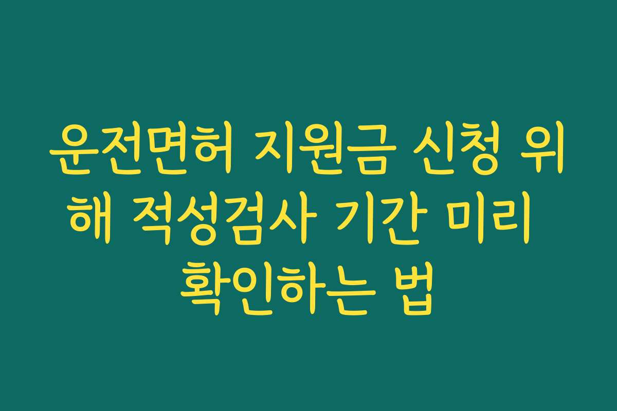 운전면허 지원금 신청 위해 적성검사 기간 미리 확인하는 법