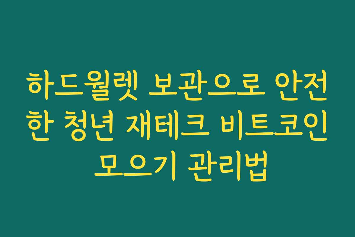 하드월렛 보관으로 안전한 청년 재테크 비트코인 모으기 관리법