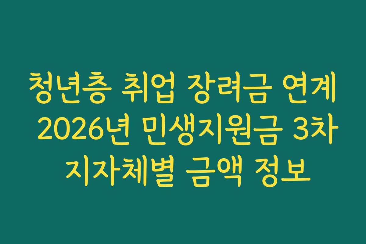 청년층 취업 장려금 연계 2026년 민생지원금 3차 지자체별 금액 정보 청년층 취업 장려금 연계 2026년 민생지원금 3차 지자체별 금액 정보