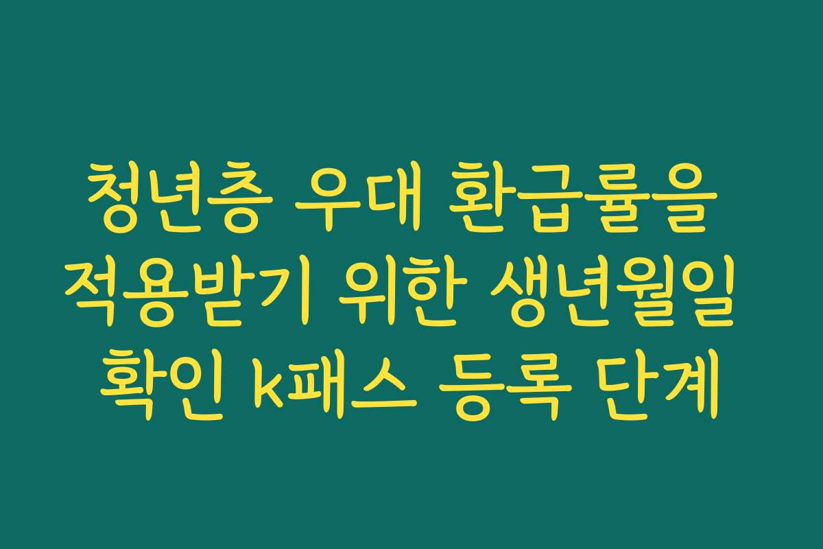 청년층 우대 환급률을 적용받기 위한 생년월일 확인 k패스 등록 단계