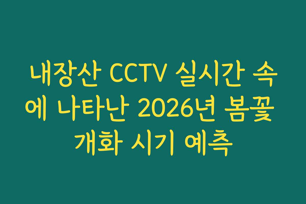 내장산 CCTV 실시간 속에 나타난 2026년 봄꽃 개화 시기 예측