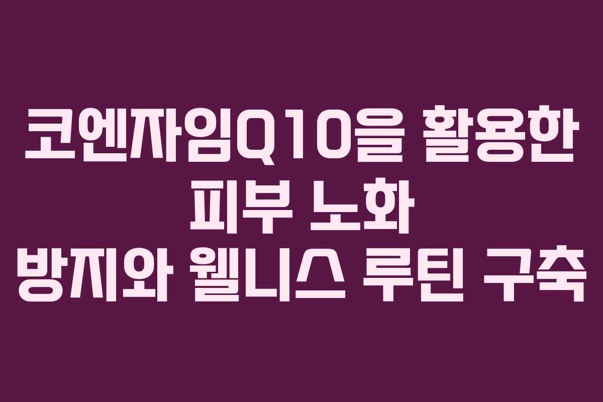 코엔자임Q10을 활용한 피부 노화 방지와 웰니스 루틴 구축