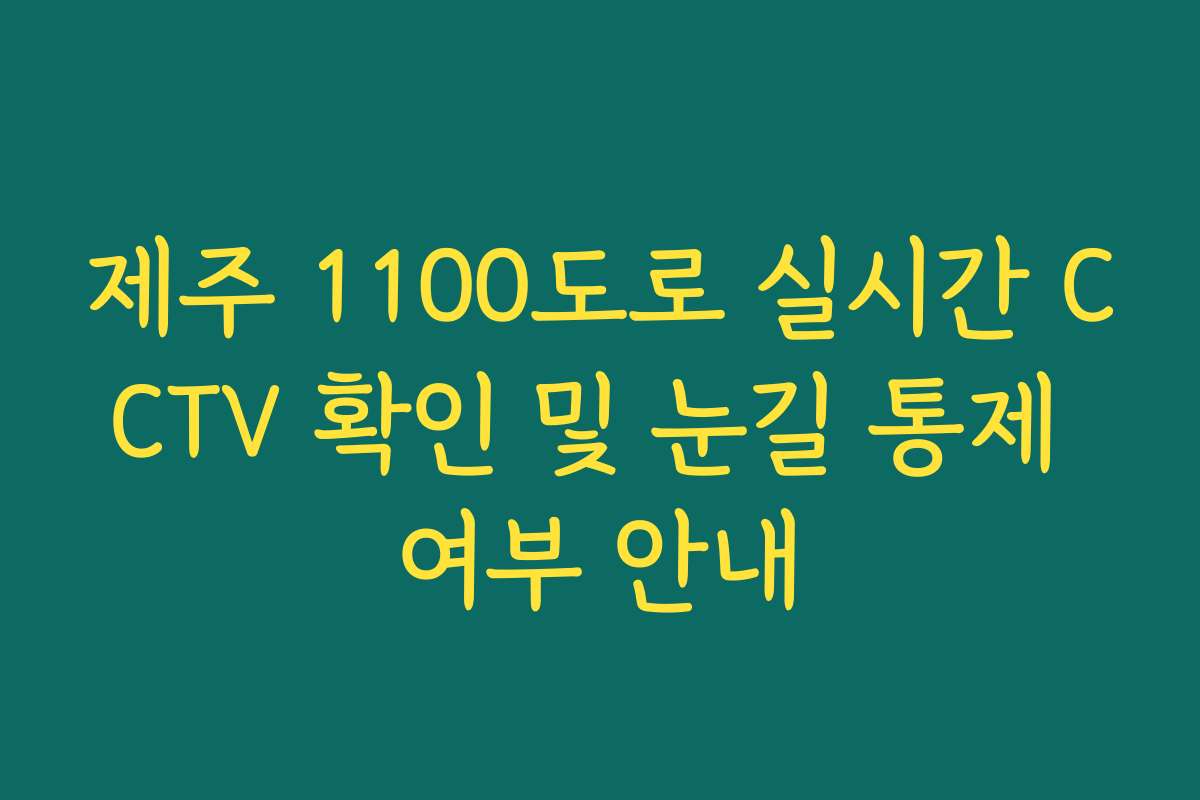 제주 1100도로 실시간 CCTV 확인 및 눈길 통제 여부 안내 제주 1100도로 실시간 CCTV 확인 및 눈길 통제 여부 안내