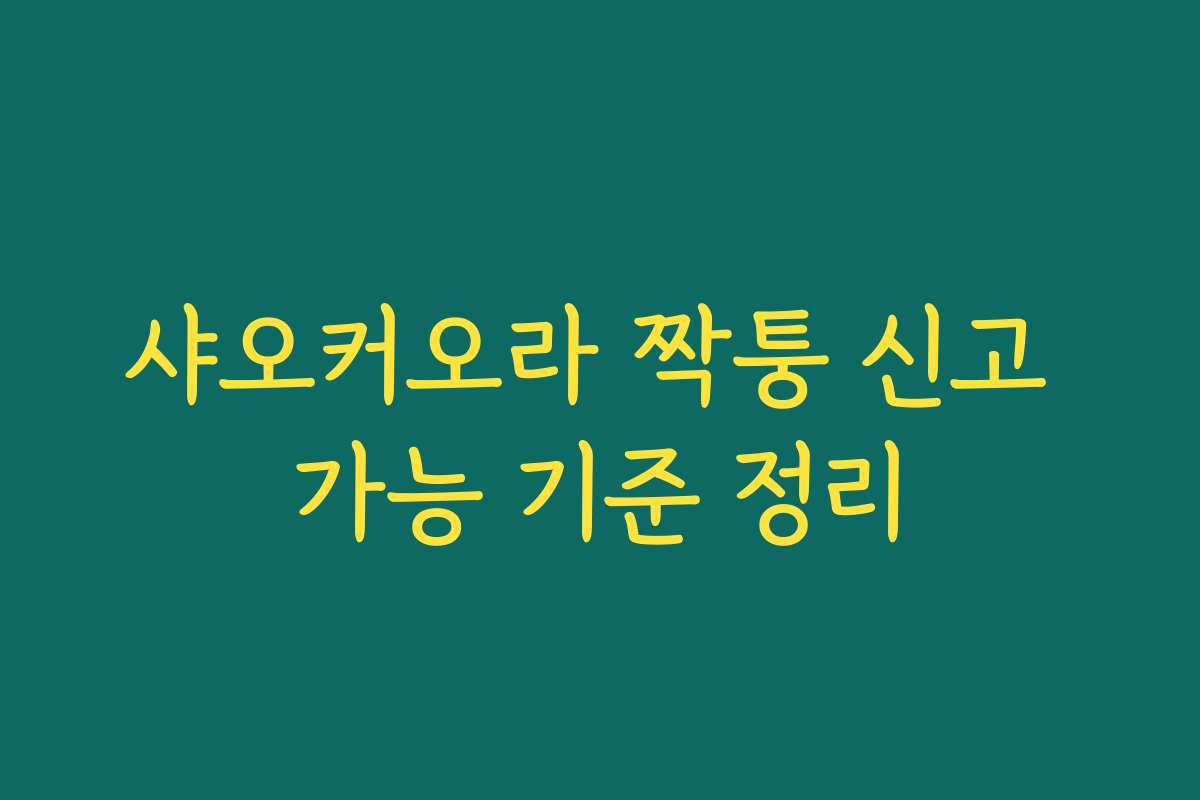 샤오커오라 짝퉁 신고 가능 기준 정리