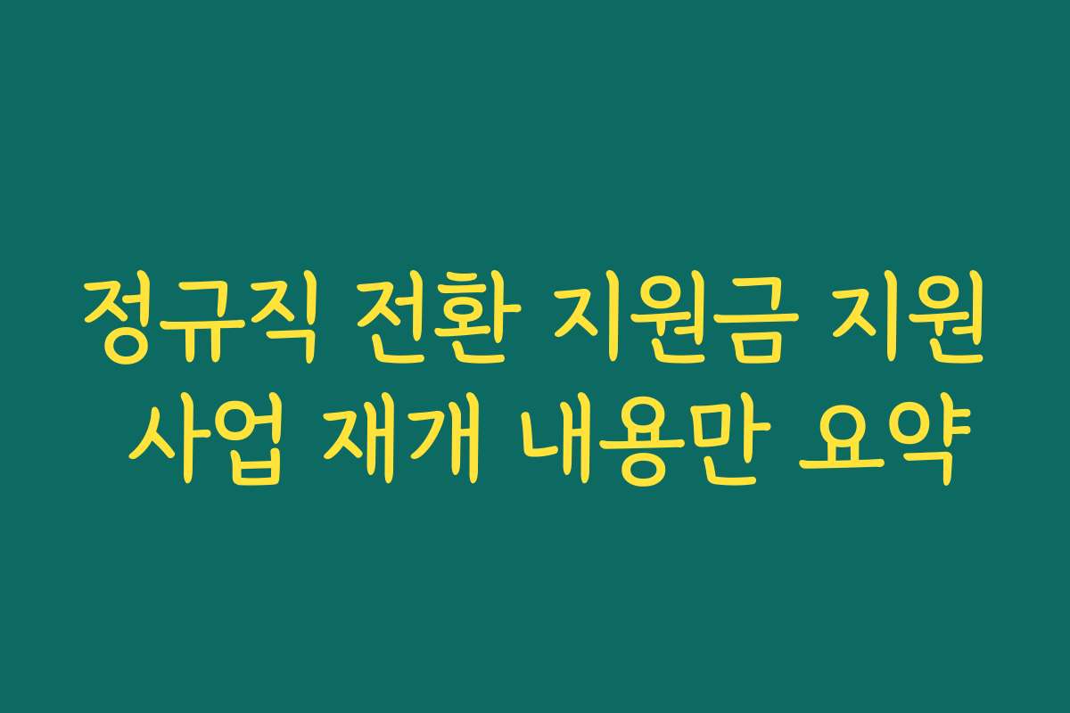 정규직 전환 지원금 지원 사업 재개 내용만 요약 정규직 전환 지원금 지원 사업 재개 내용만 요약