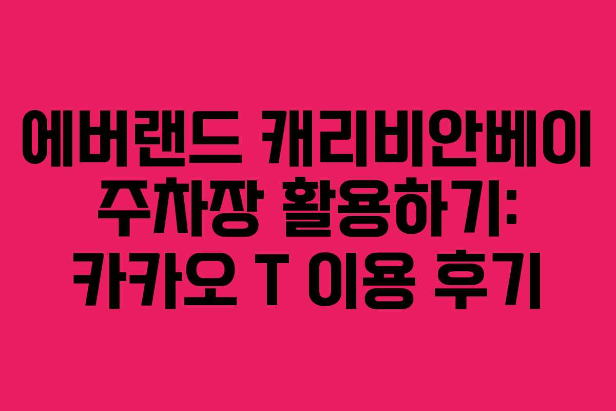 에버랜드 캐리비안베이 주차장 활용하기: 카카오 T 이용 후기