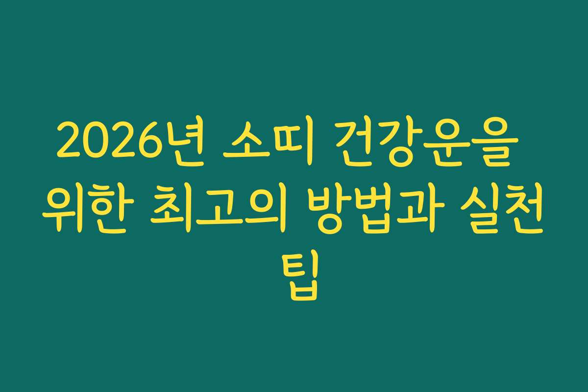 2026년 소띠 건강운을 위한 최고의 방법과 실천 팁 2026년 소띠 건강운을 위한 최고의 방법과 실천 팁
