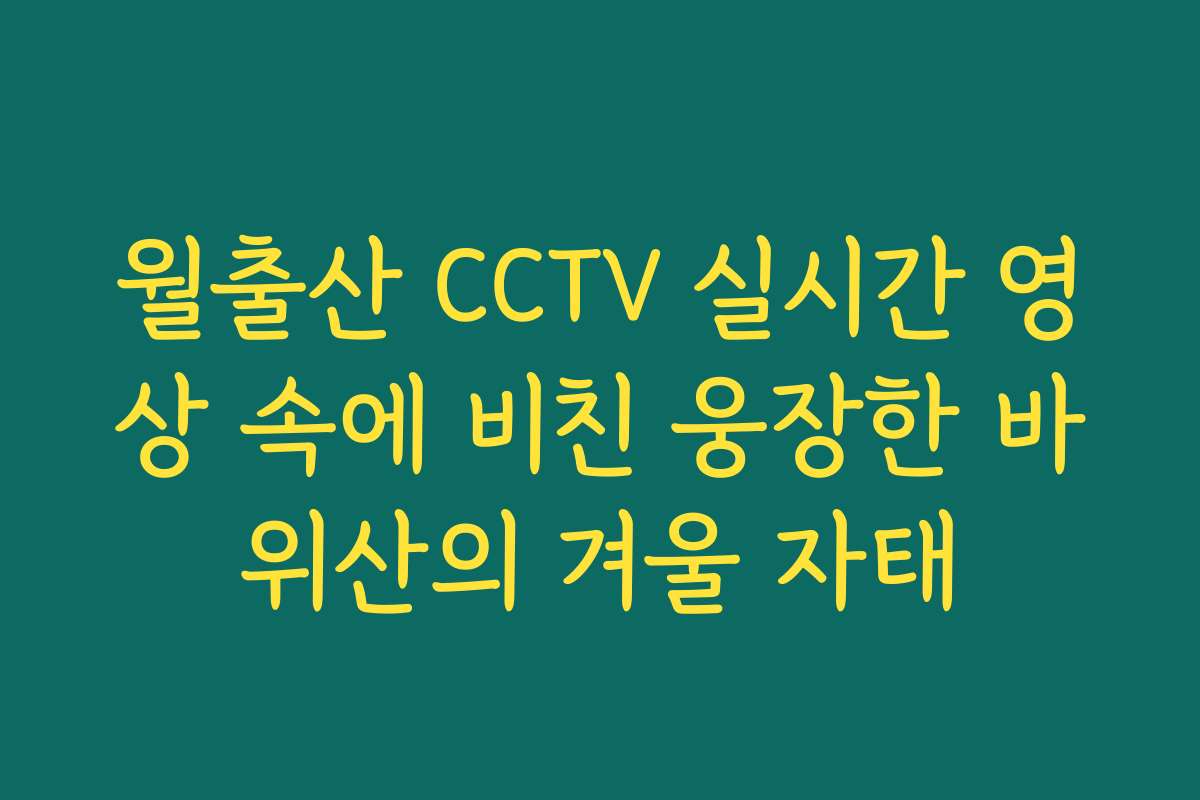 월출산 CCTV 실시간 영상 속에 비친 웅장한 바위산의 겨울 자태